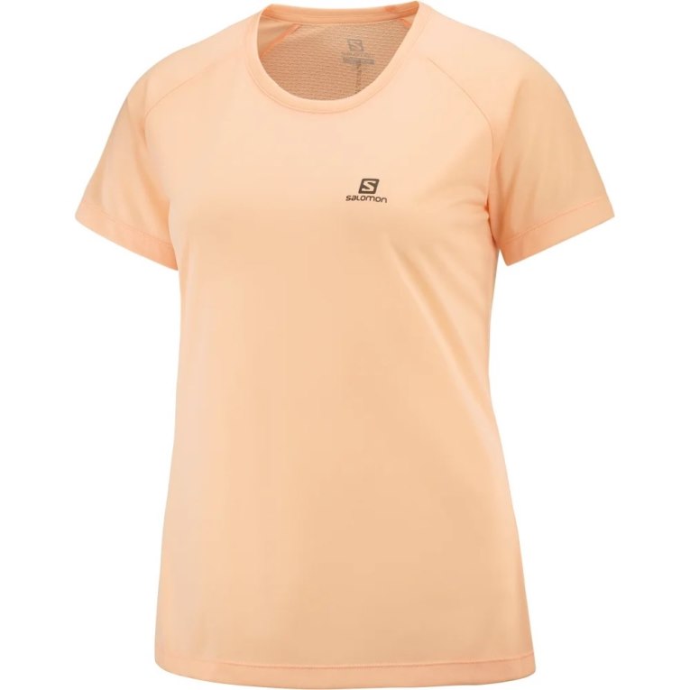 Camiseta Salomon Cross Rebel Corta Sleeve Mujer Albaricoque | MX LUJN482